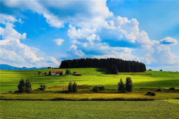 拆除工程的簡(jiǎn)單版合同。